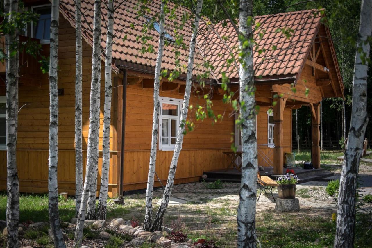 Miodowa Kolonia Bed & Breakfast Białowieża Exterior foto